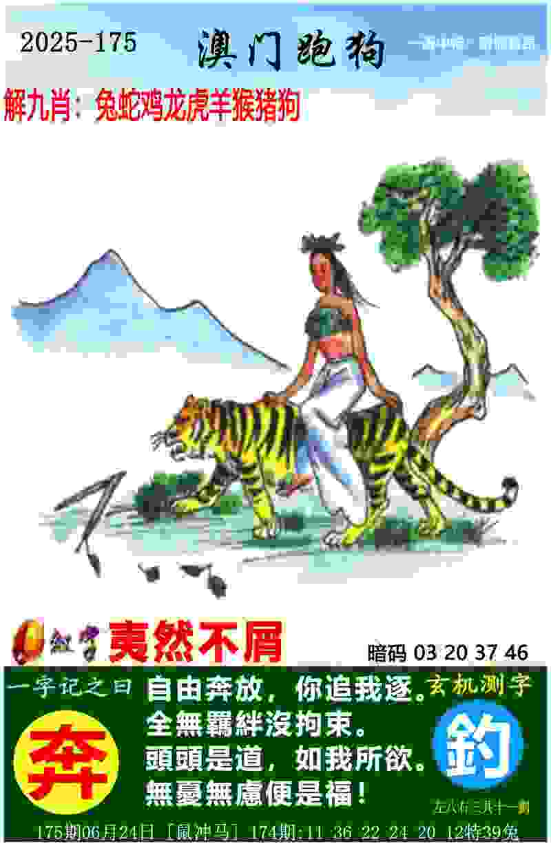 扬科维奇出任中国国家男子足球队主教练