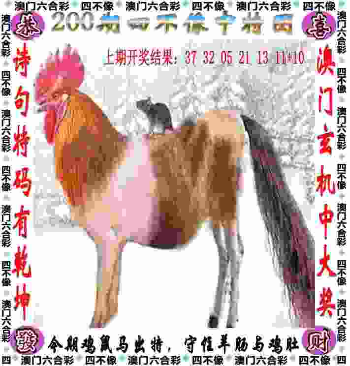 >新门内部资料免费查询