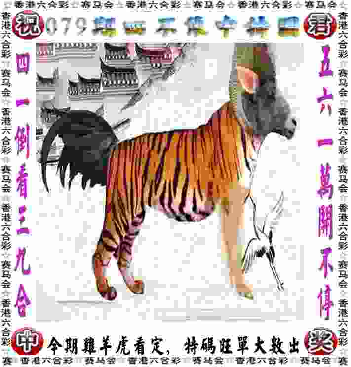 >新门内部资料免费查询